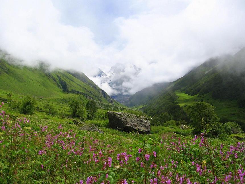 Valley of flowers uttaranchal full view