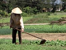 220px-Peasant in the vegetable garden