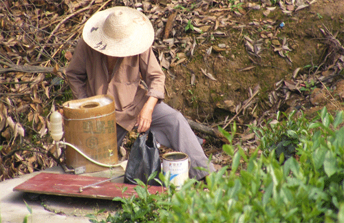 PESTiCIDE