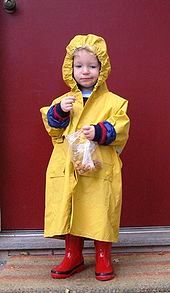 Yellow Raincoat